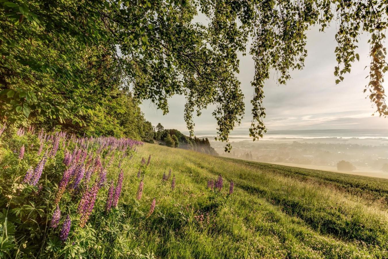 Wellness Apartmany Cesky Raj & Biokolna Lomnice nad Popelkou Экстерьер фото